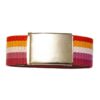 Colour Lesbian Flag Belt Pride Shop Nz