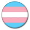 trans pride badge
