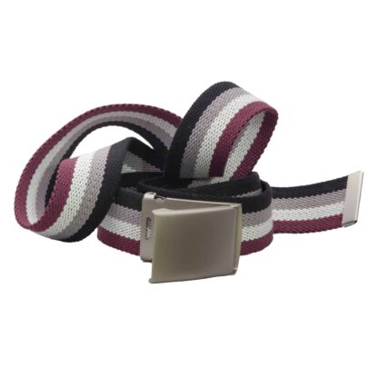 asexual pride belt3 scaled