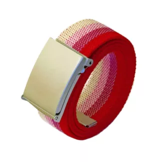 Lesbian Pink Flag Pride Belt