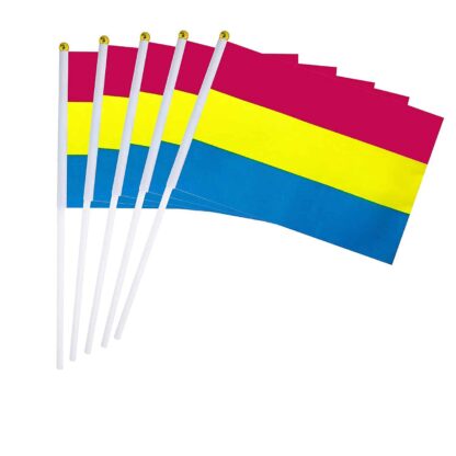 5 Pansexual Pride Hand Flags