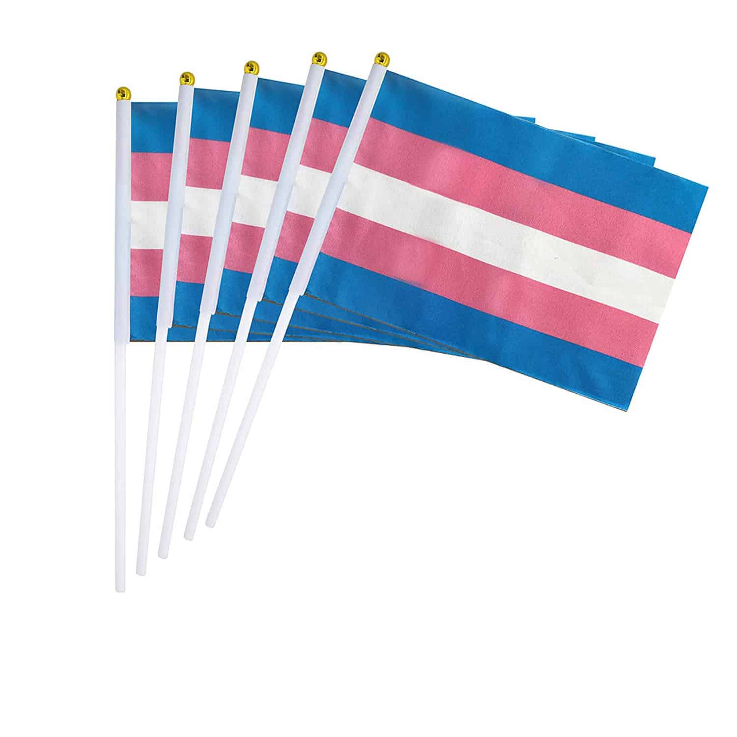 5 Transgender (Trans) Pride Hand Flags