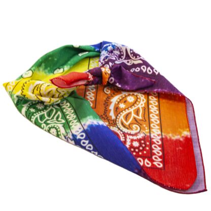 patterned rainbow bandana 1 scaled