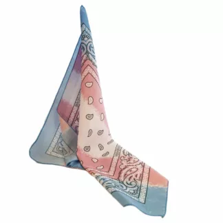 Trans Paisley Bandana
