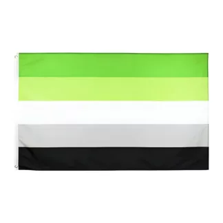 Aromantic Pride Flag