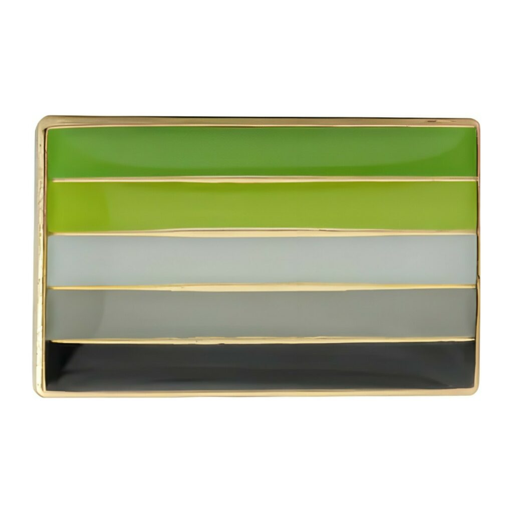Aromantic Pride Pin