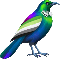 Pride Shop New Zealand