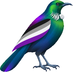 Pride Shop New Zealand