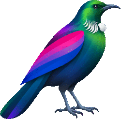 Pride Shop New Zealand