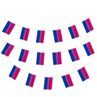 Bisexual flag bunting strung across a white background